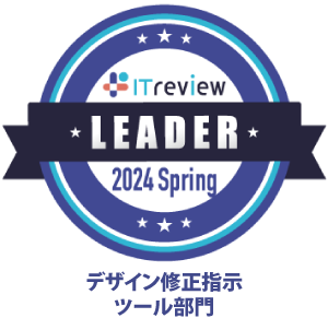 IT Review leader